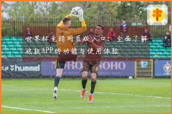 世界杯竞猜网页版入口：全面了解这款APP的功能与使用体验